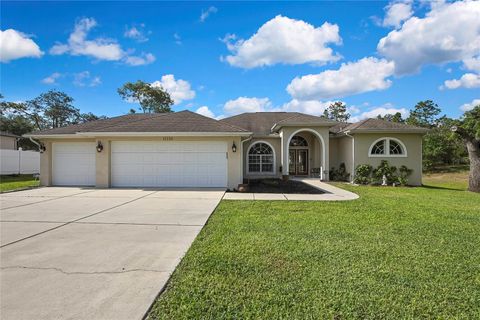 Photo of 11336 Flower Avenue, Weeki Wachee, FL 34613 (MLS # W7874960) Photo of 11336 Flower Avenue, Weeki Wachee, FL 34613 (MLS # W7874960)