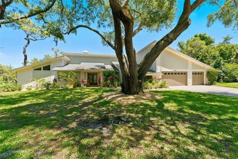 Property photo of 1360 Sago Court, Dunedin, FL 34698
