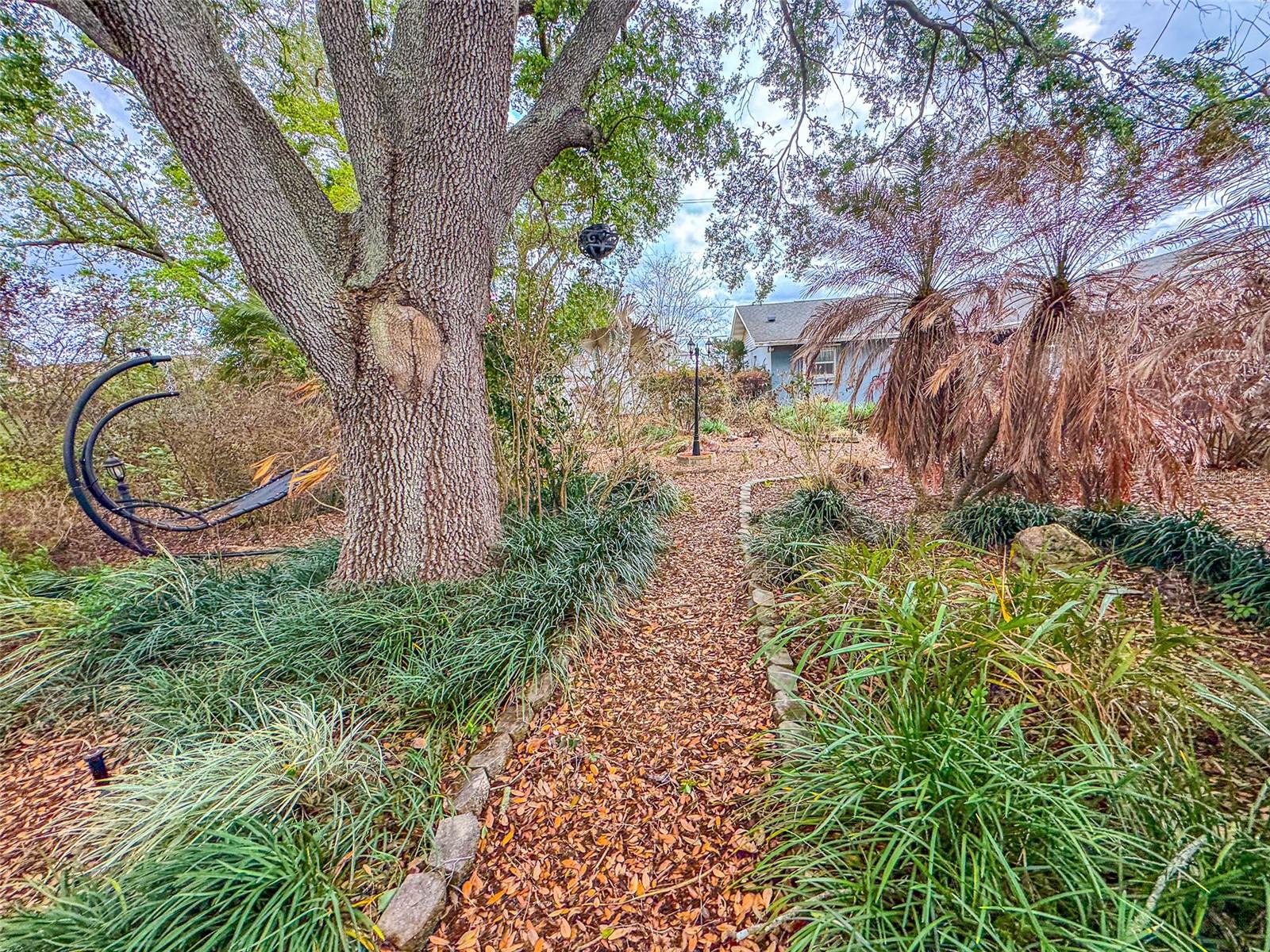 CELIA PARK SUB - Residential