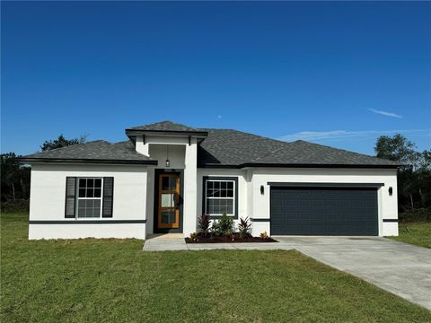 A home in CITRUS SPRINGS