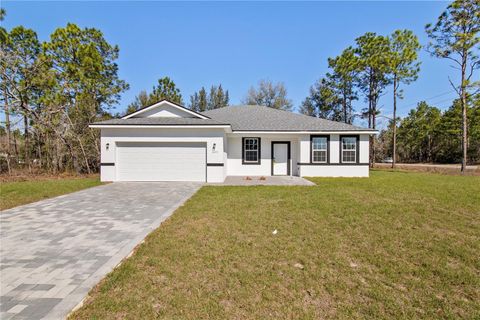 A home in CITRUS SPRINGS