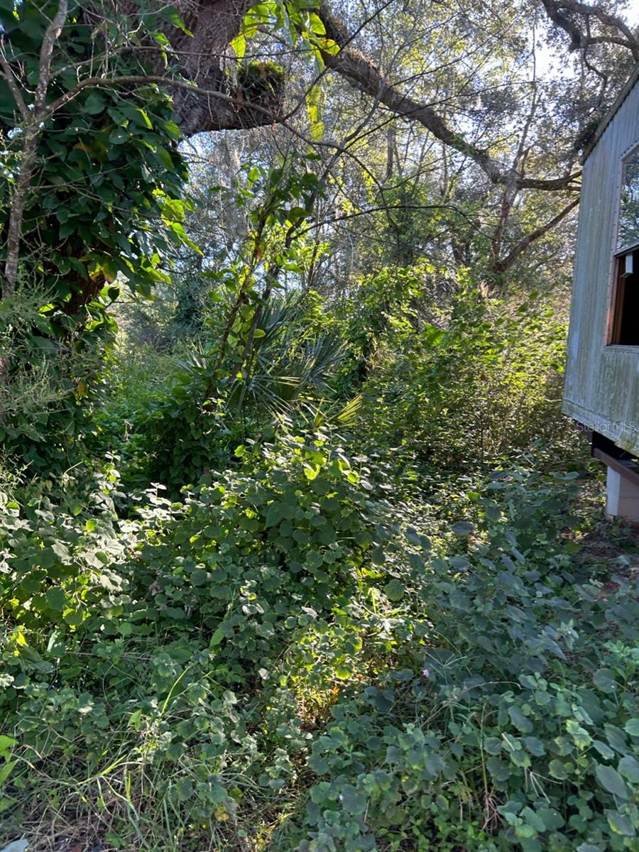 ZEPHYRHILLS COLONY CO - Residential