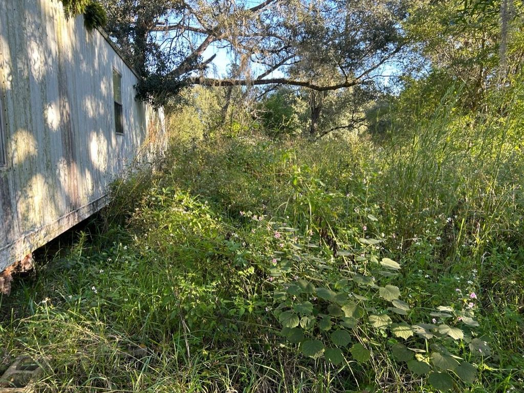 Photo of 39249 Lizabeth Circle, Zephyrhills, FL 33542 (MLS # TB8454491)