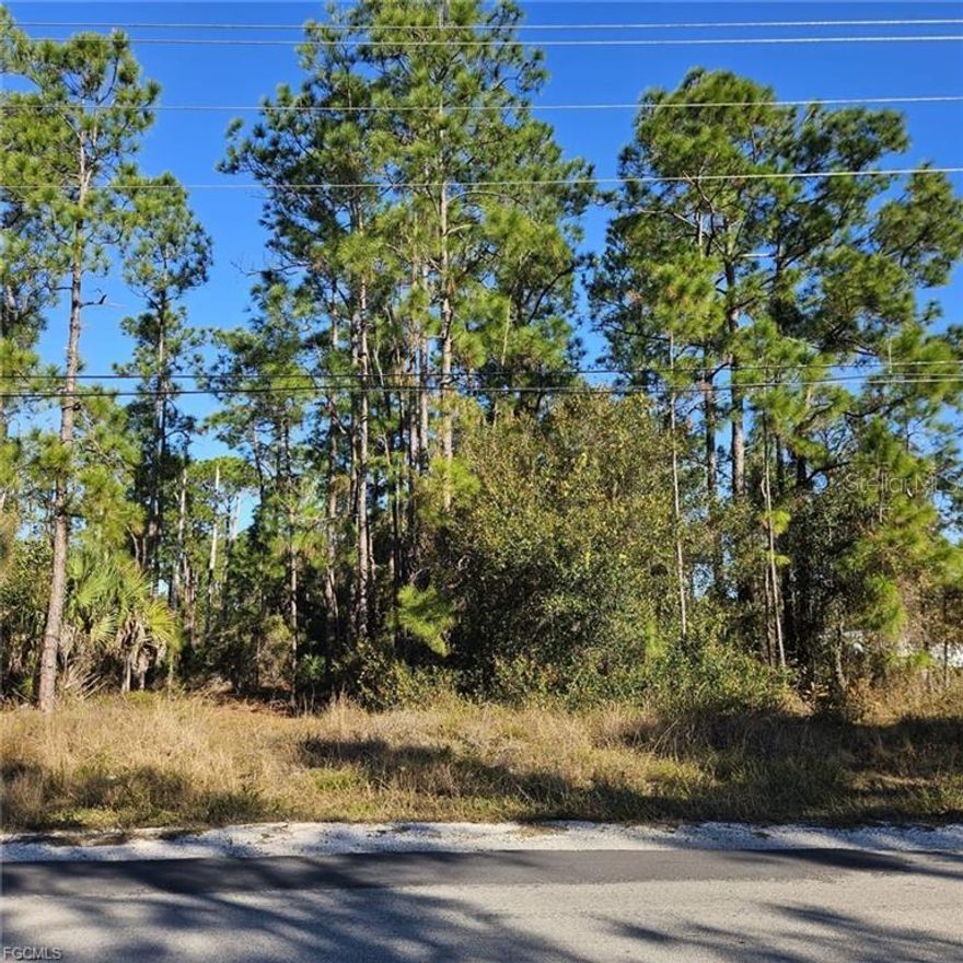 Fantastic residential lot in a highly desirable and peaceful area of Lehigh Acres. Excellent location, quiet surroundings, and the perfect opportunity to build your dream home.