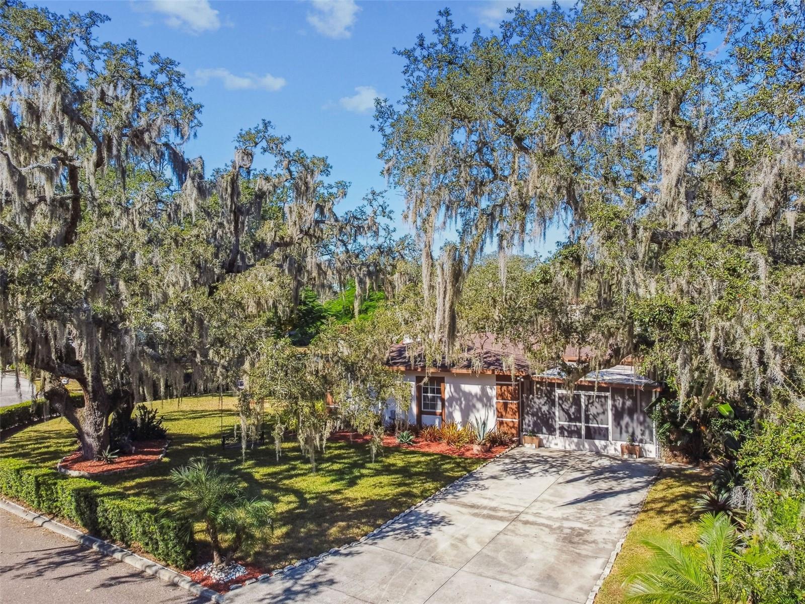 TEMPLE TERRACE ESTATES - Residential