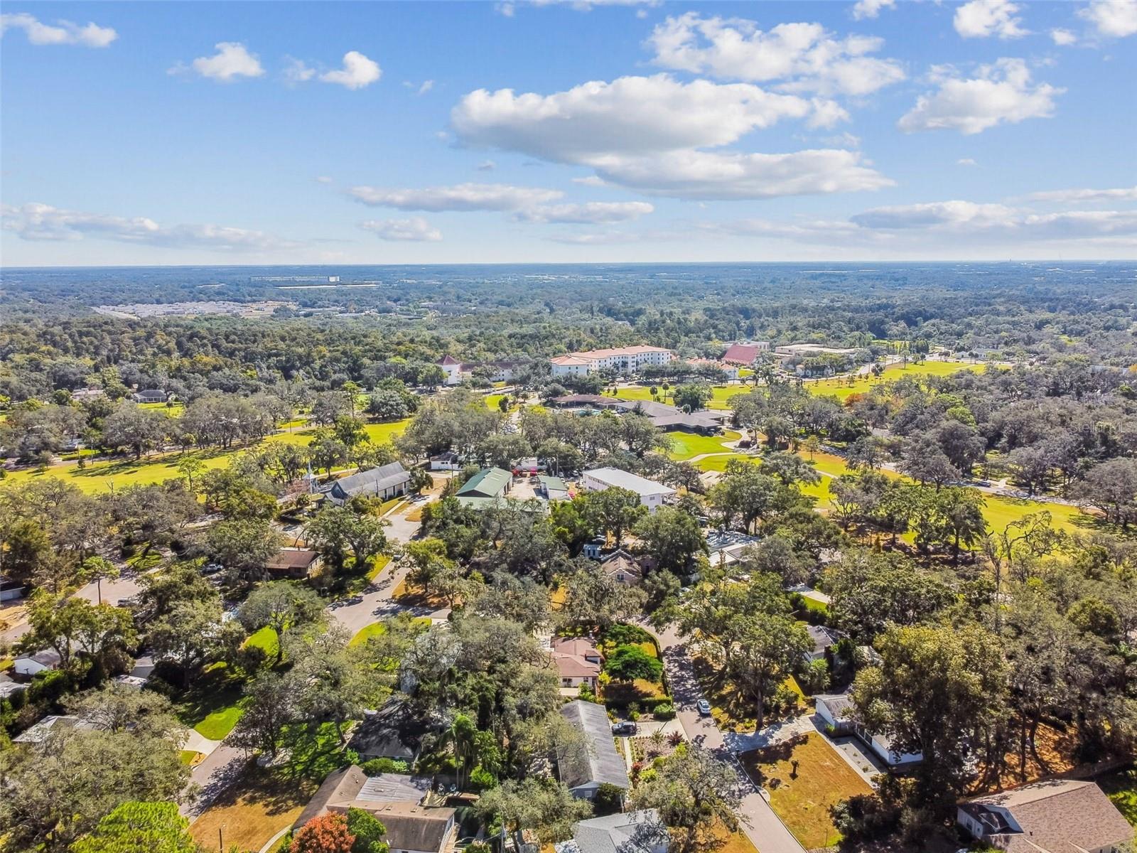 TEMPLE TERRACE ESTATES - Residential