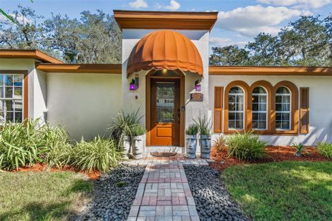 Photo of 207 Willowick Avenue, Temple Terrace, FL 33617 (MLS # TB8439408)