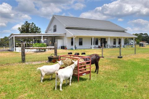 A home in PLANT CITY