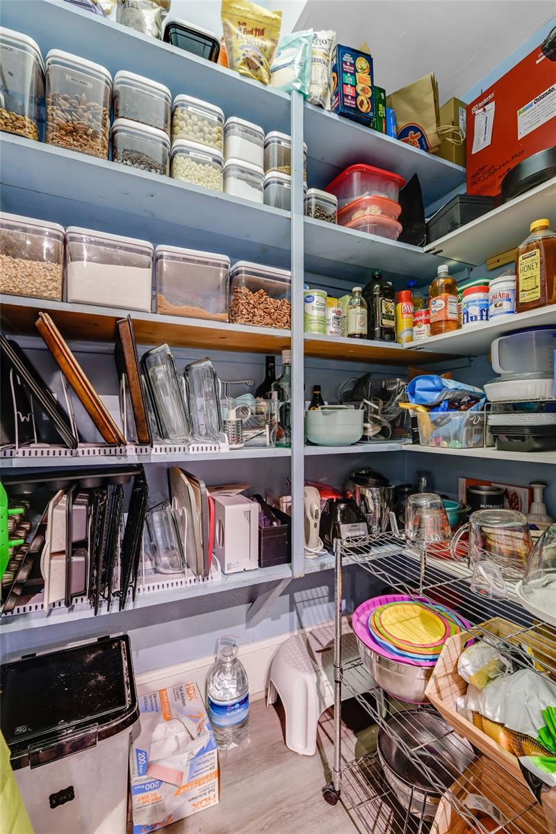 MOUNT DORA TREMAINS - Residential