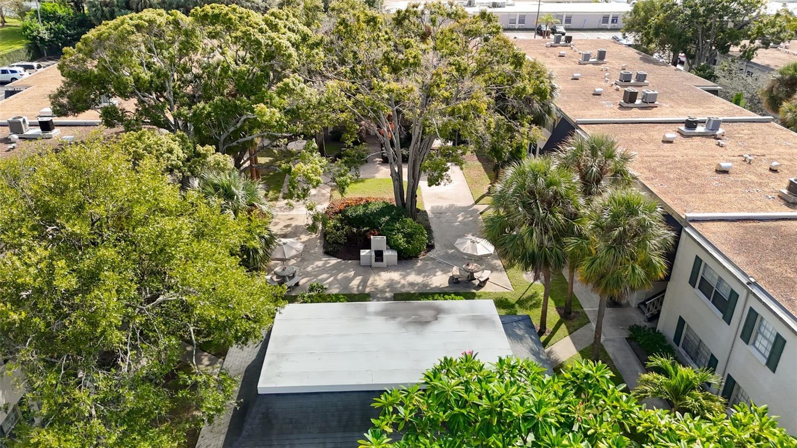 BRANDYCHASE A CONDO - Residential