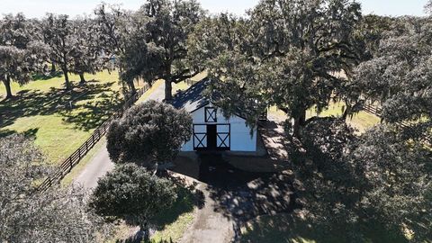 Tiny photo for 12853 NW 90th Avenue, Reddick, FL 32686 (MLS # OM692861)