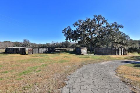 Tiny photo for 12853 NW 90th Avenue, Reddick, FL 32686 (MLS # OM692861)