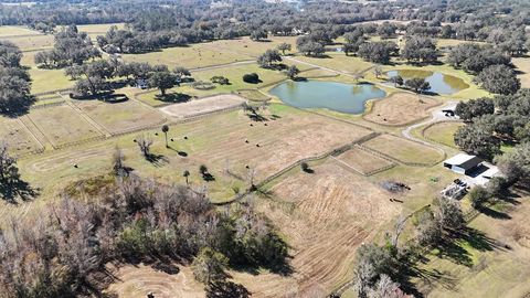 Tiny photo for 12853 NW 90th Avenue, Reddick, FL 32686 (MLS # OM692861)
