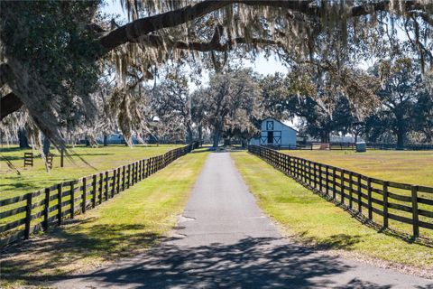 Tiny photo for 12853 NW 90th Avenue, Reddick, FL 32686 (MLS # OM692861)