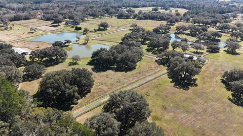Tiny photo for 12853 NW 90th Avenue, Reddick, FL 32686 (MLS # OM692861)