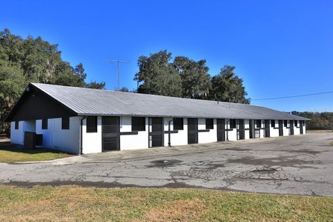 Tiny photo for 12853 NW 90th Avenue, Reddick, FL 32686 (MLS # OM692861)