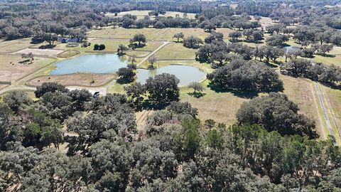 Tiny photo for 12853 NW 90th Avenue, Reddick, FL 32686 (MLS # OM692861)