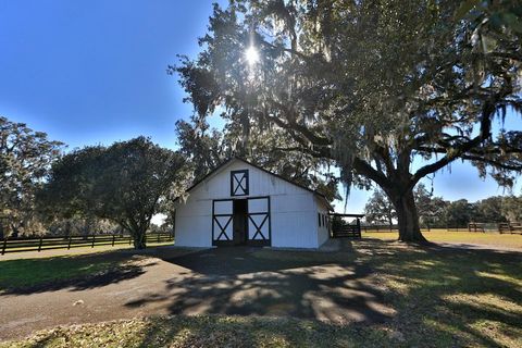 Tiny photo for 12853 NW 90th Avenue, Reddick, FL 32686 (MLS # OM692861)