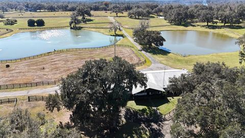 Tiny photo for 12853 NW 90th Avenue, Reddick, FL 32686 (MLS # OM692861)