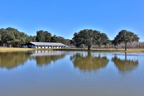 Tiny photo for 12853 NW 90th Avenue, Reddick, FL 32686 (MLS # OM692861)