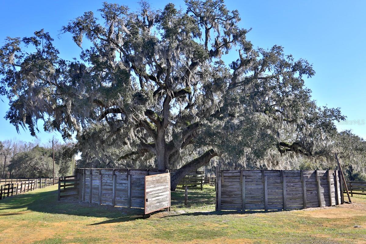 ACREAGE NON SUBDIVISION - Farm