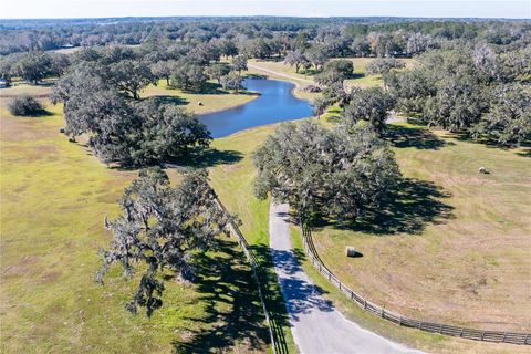 Tiny photo for 12853 NW 90th Avenue, Reddick, FL 32686 (MLS # OM692861)