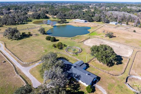 Tiny photo for 12853 NW 90th Avenue, Reddick, FL 32686 (MLS # OM692861)