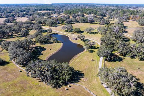 Tiny photo for 12853 NW 90th Avenue, Reddick, FL 32686 (MLS # OM692861)
