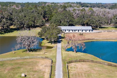 Tiny photo for 12853 NW 90th Avenue, Reddick, FL 32686 (MLS # OM692861)