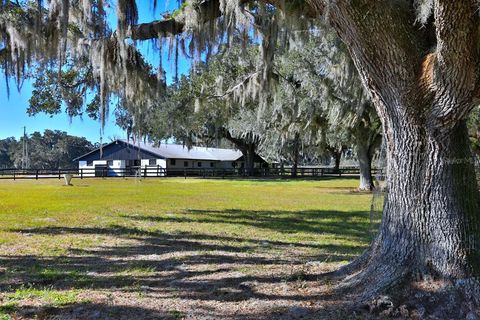 Tiny photo for 12853 NW 90th Avenue, Reddick, FL 32686 (MLS # OM692861)