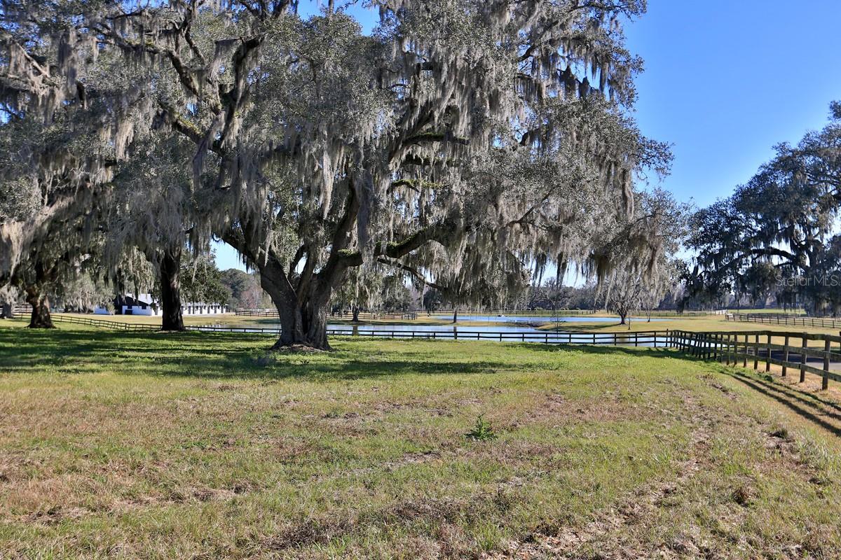 ACREAGE NON SUBDIVISION - Farm