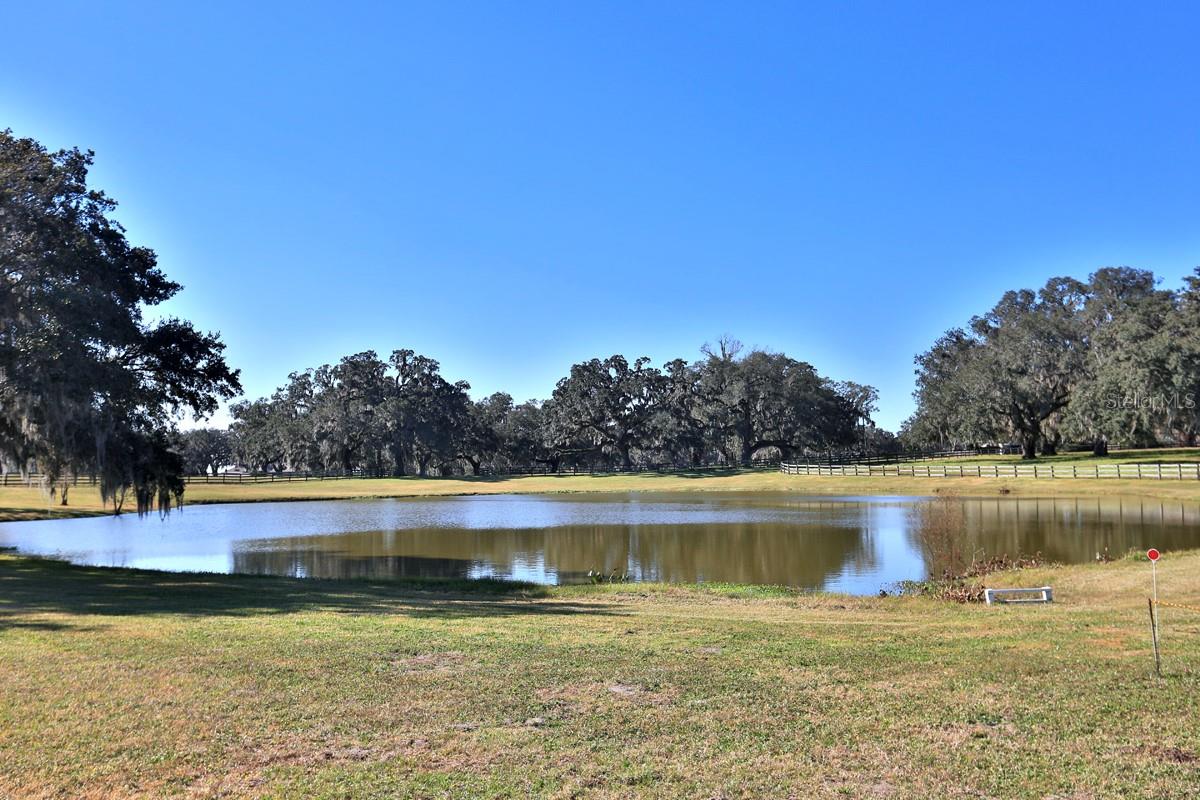 ACREAGE NON SUBDIVISION - Farm