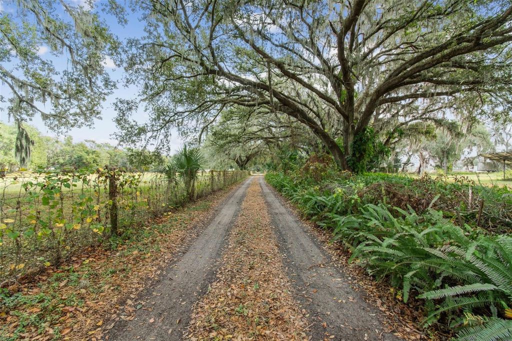 Photo of 1814 Wise Road, Zephyrhills, FL 33540 (MLS # TB8451967)