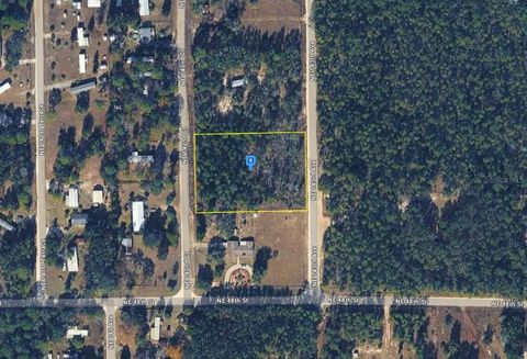 Photo of 4955 NE 142nd Ct, Williston, FL 32696 (MLS # A4689589)