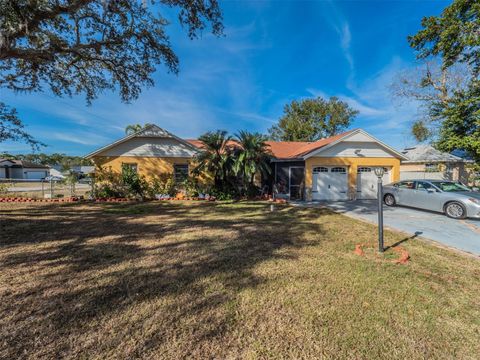 A home in DELTONA