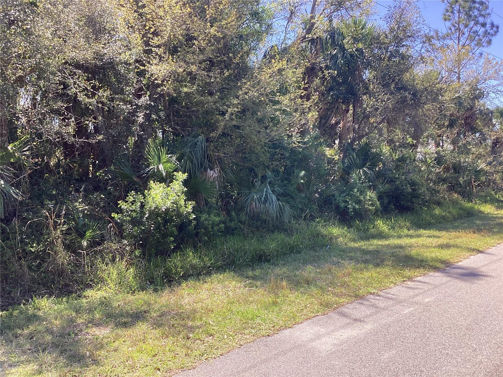 Here is a wonderful opportunity to own an 80'x125' lot in a beautiful and upcoming area in North Port. This community is off N Cranberry Blvd which has close access to I75. It is close to plenty of stores and restaurants, yet it has a quiet and serene feeling when you drive the community. There are new homes being built and many lovely homes around. You could buy and hold for the future as well.