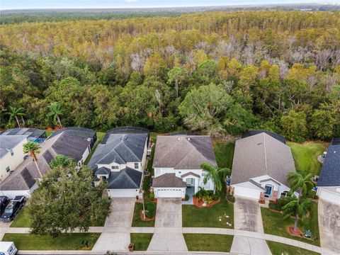 A home in KISSIMMEE