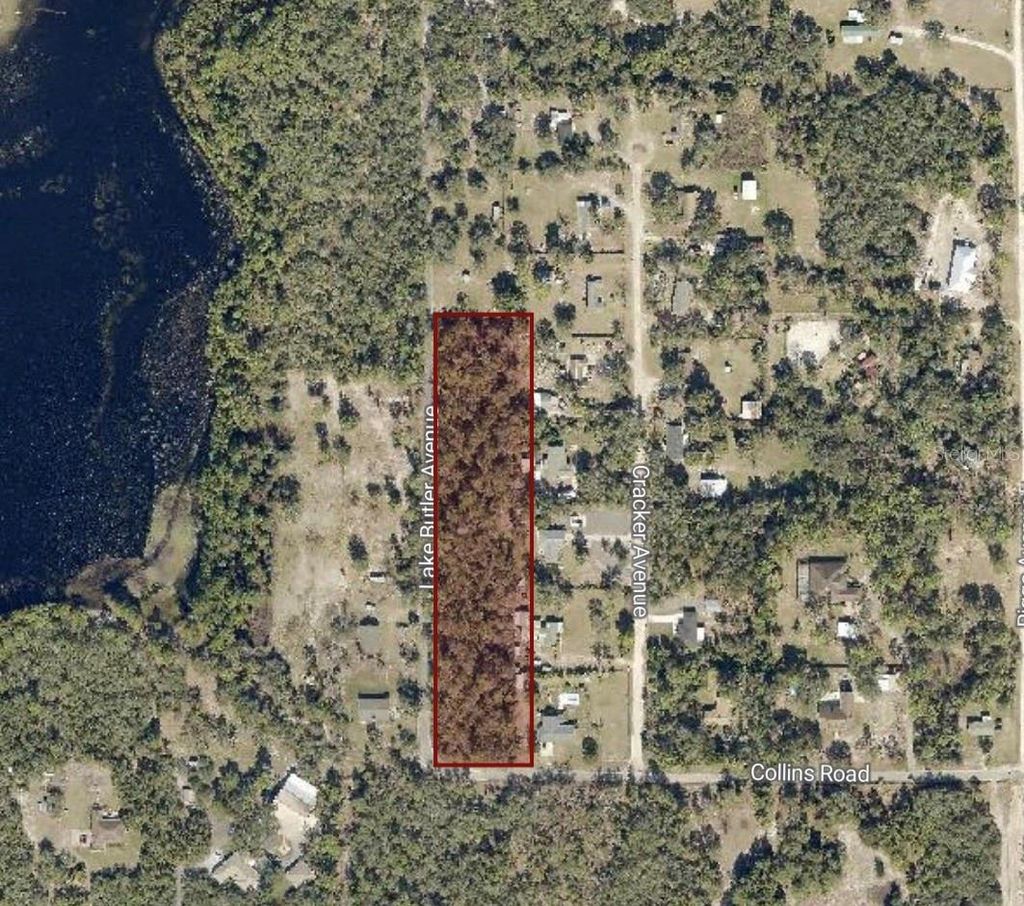 Photo of 615 Lake Butler Avenue, Osteen, FL 32764 (MLS # V4946305)