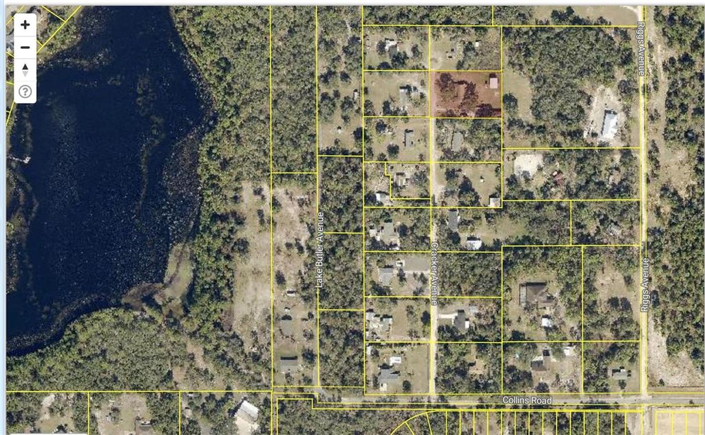 Photo of 615 Lake Butler Avenue, Osteen, FL 32764 (MLS # V4946305)