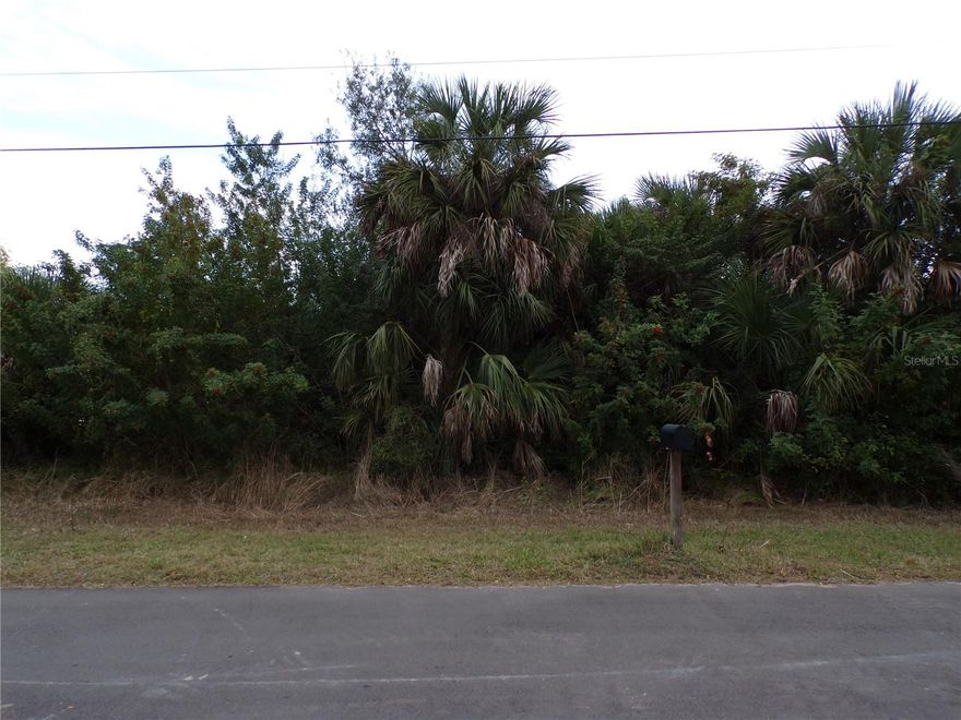 This lot is on a quiet street, that would be a great place to build your dream home and retire or raise your family. Less than 20 miles to I75 makes this location an easy commute to almost anywhere, and only 5 miles to Chadwick Park at Englewood Beach with amazing sunsets, less than 2 miles to South Englewood with lots of shopping and dining options. Tampa Bay Rays spring training and the fairgrounds are just minutes away, also multiple golf courses and some of the best boating and fishing in all of Florida. Red Soxs, Orioles, Twins and Braves spring training all within an hour’s drive. Buyer and buyers’ reps are responsible for determining environmental conditions and endangered species restrictions. This lot is priced to sell so please call for availability! This lot is at a great price point for the investor call today.