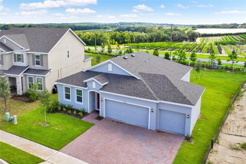 Tiny photo for 7193 Dilly Lake Avenue, Groveland, FL 34736 (MLS # O6387623)