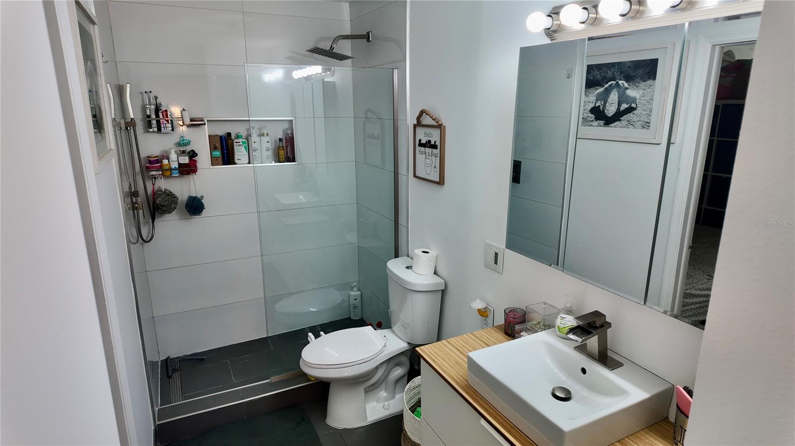 PHEASANT RUN AT ROSEMONT CONDO - Residential