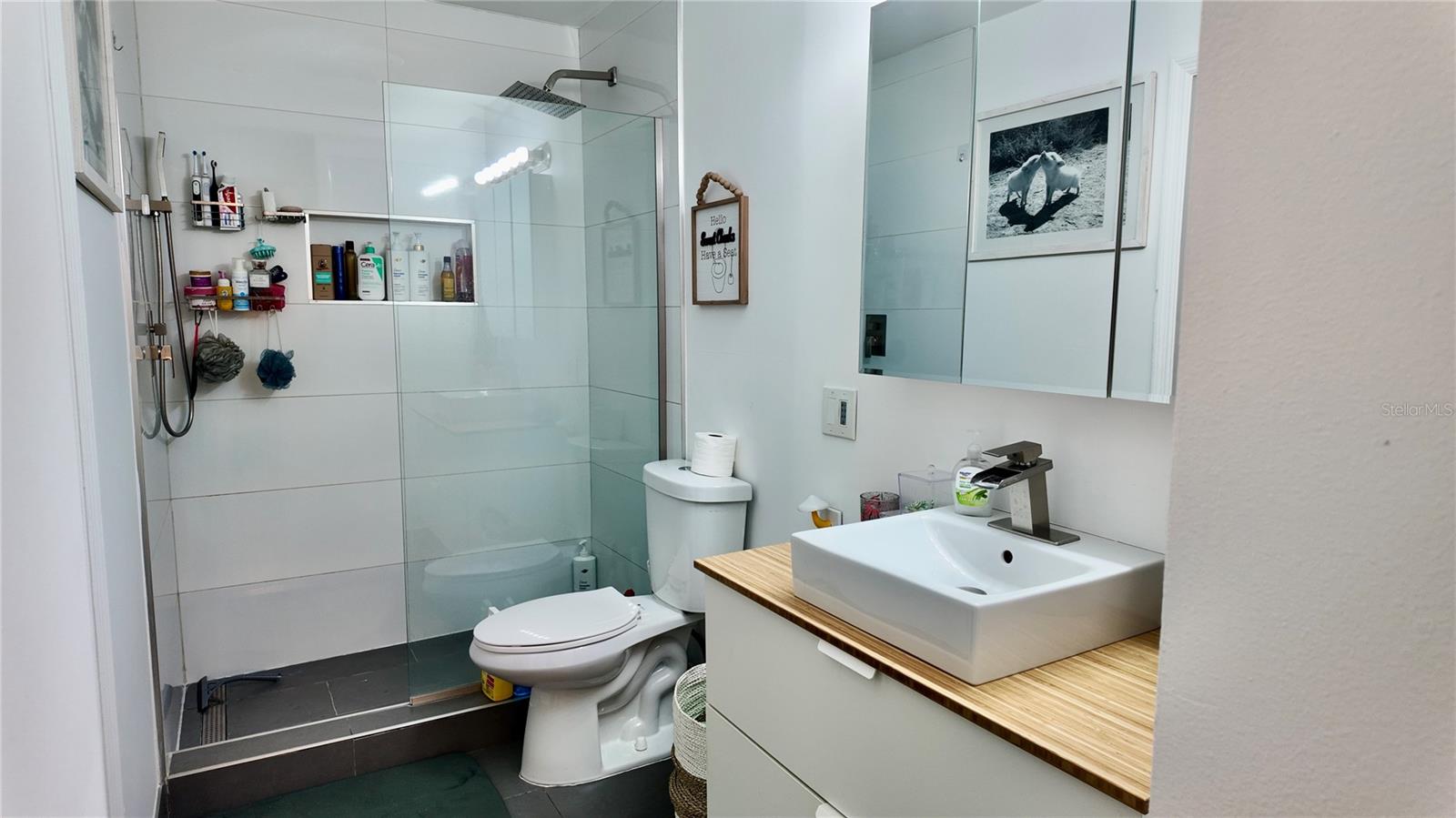 PHEASANT RUN AT ROSEMONT CONDO - Residential