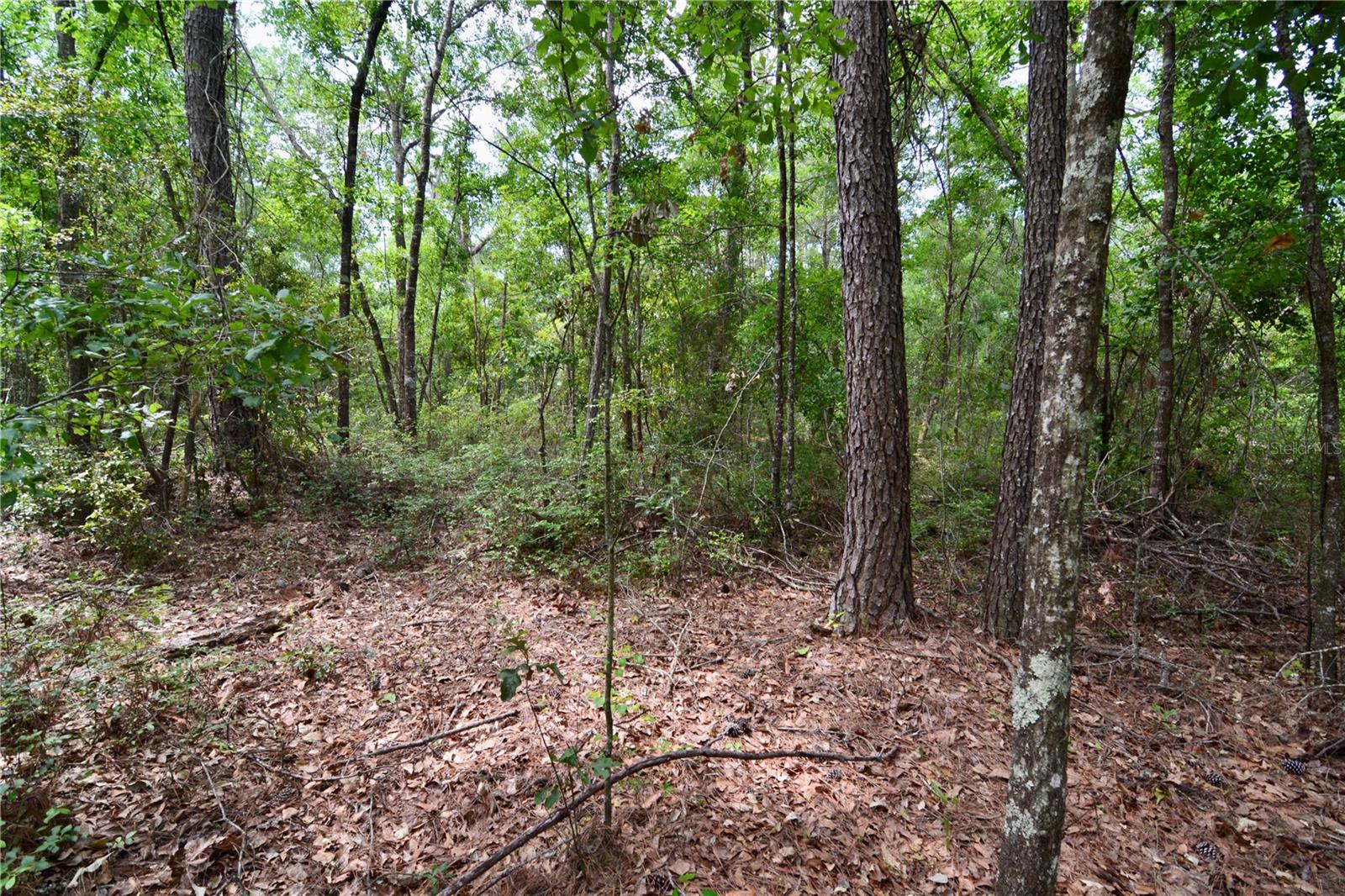 SW OVIEDO TRAIL