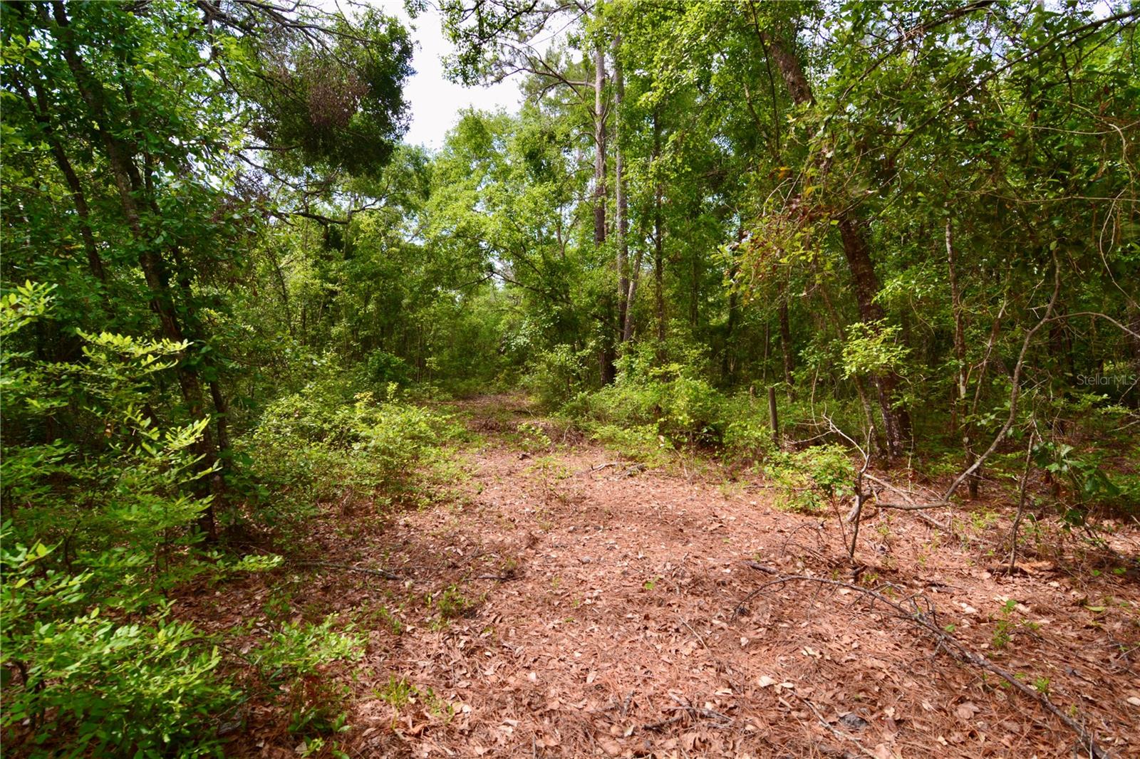 SW OVIEDO TRAIL