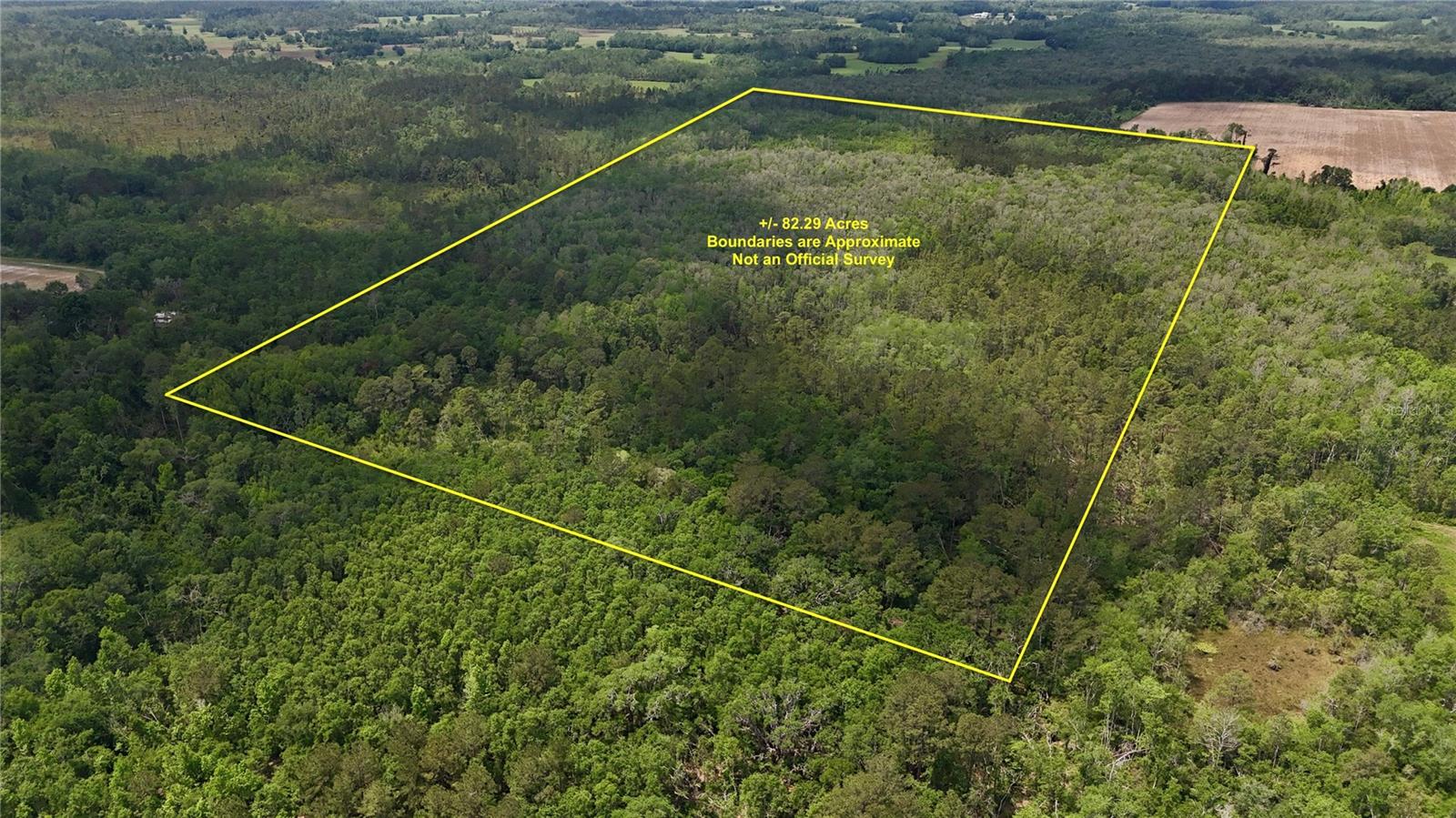 SW OVIEDO TRAIL