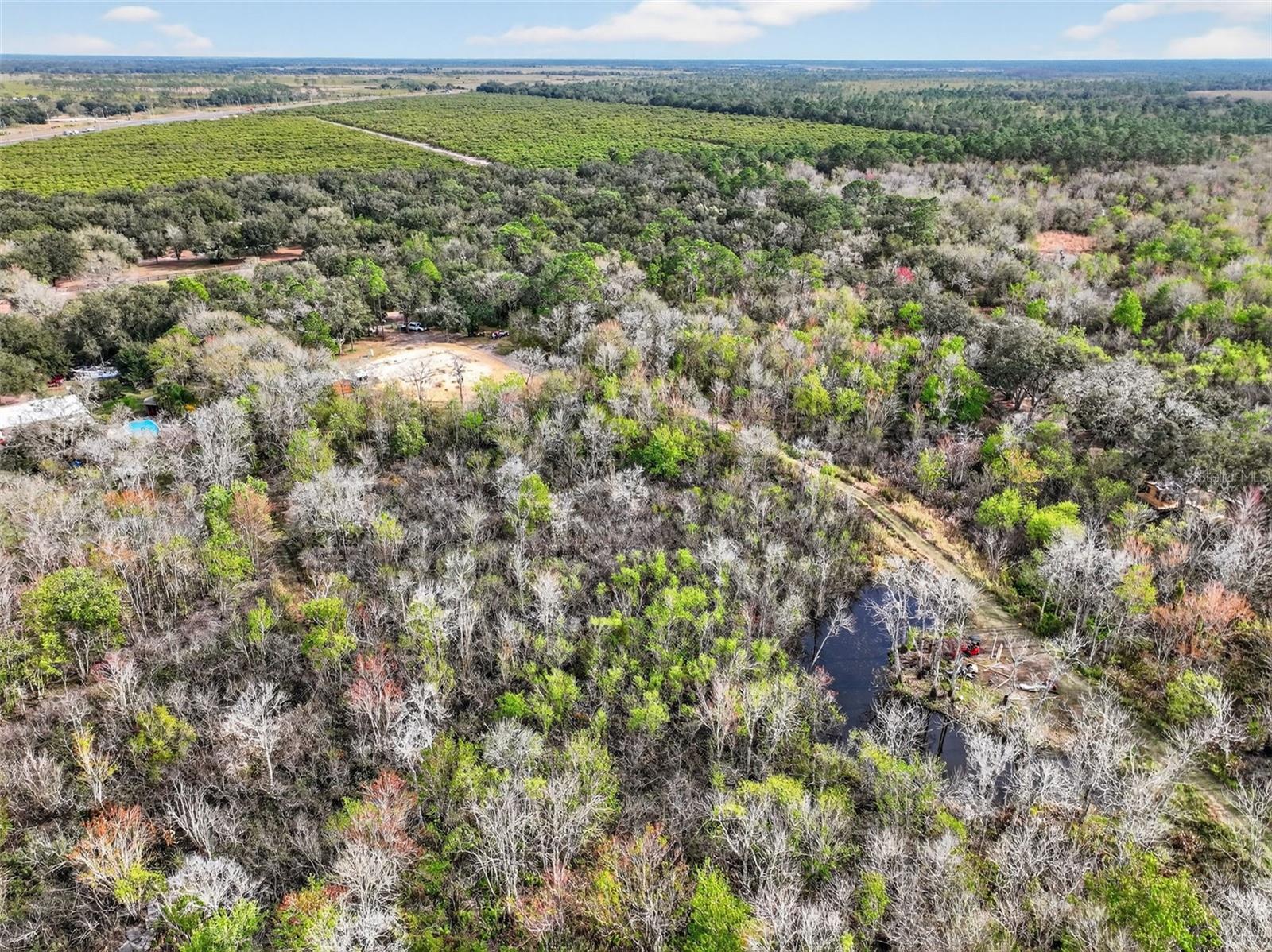 WALK-IN-WATER CRK - Land