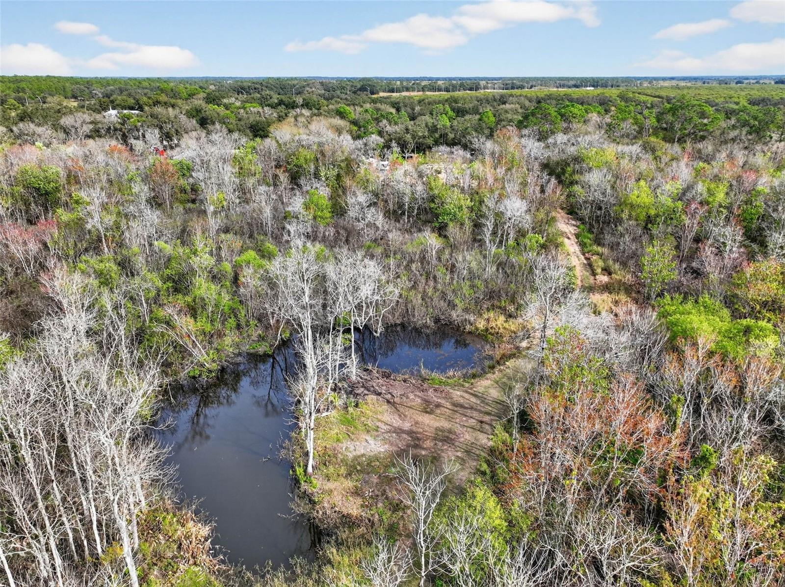 WALK-IN-WATER CRK - Land