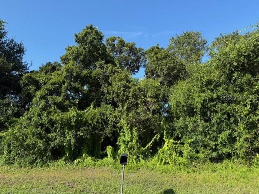 Photo of 11335 Eighth Ave, Punta Gorda, FL 33955 (MLS # TB8415532)