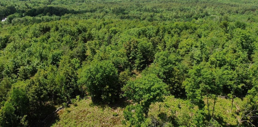 Photo of SW 712th Avenue, Horseshoe Beach, FL 32648 (MLS # O6356213)